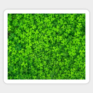 Lucky Clover Pattern Sticker